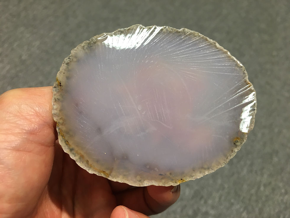 縮圖：紫水晶樹 ( 1 )