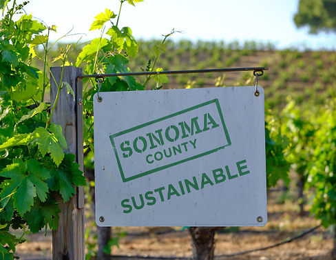 sonoma.jpeg