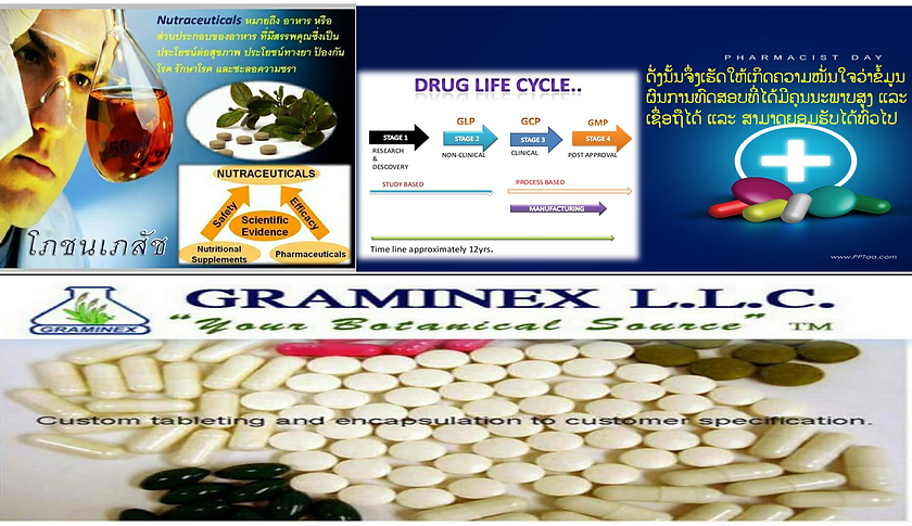 Slide9.PNG