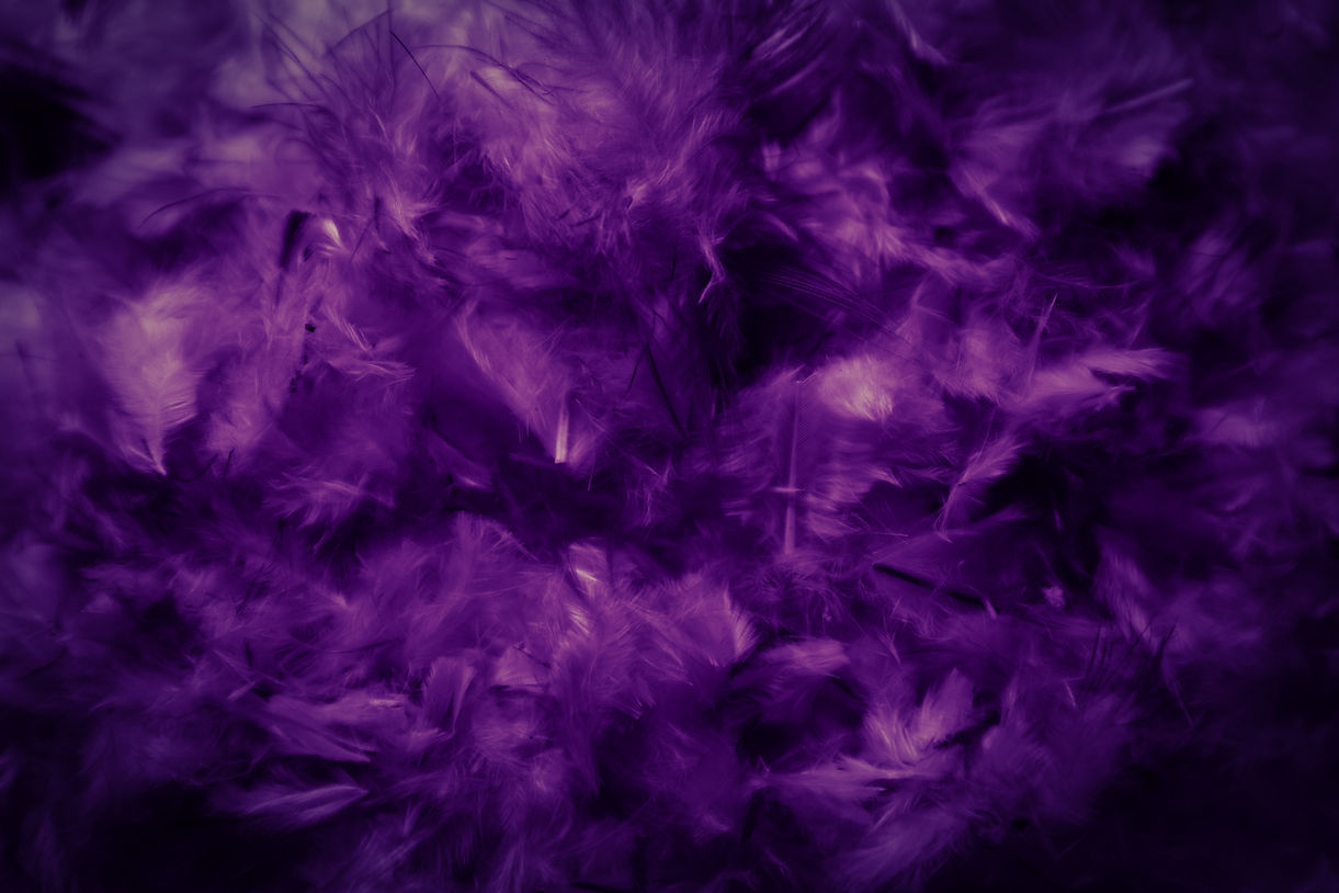 AdobeStock_318181811.jpeg