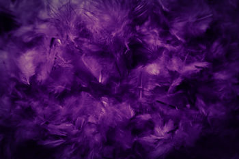 AdobeStock_318181811.jpeg