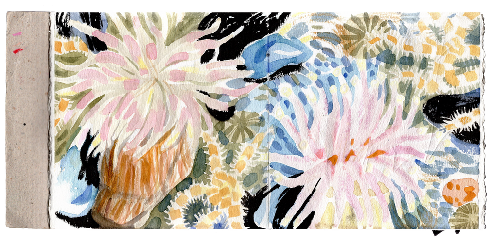 43A0B809-BDD3-4C8A-8D53-5274CD57CC65.png