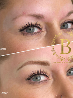 Hybrid Brows - DANIELLE