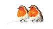 Christmas header 3.jpg