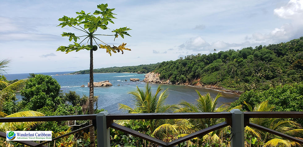 View of Dominica Northeast coast from the Wanderlust Caribbean Adventure Hotel.