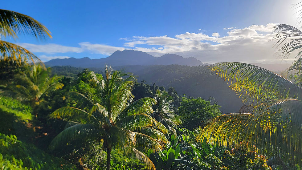 UNESCO Protected Rainforests and Jungles