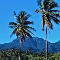 View of Calibishie as enjoyed by guests during Wanderlust Caribbean local hiking tours