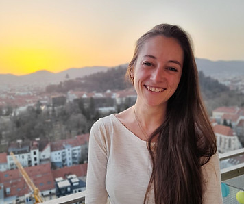 Direktor 7 Zvijezda Siebenstern d.o.o.