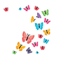 Logo.ai - EVAS PEDAL POWER (3)_clipped_r