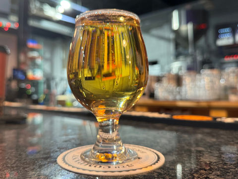Beer in a 10oz glass
