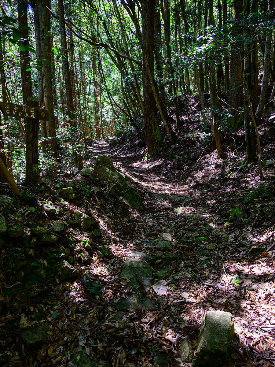 津和野道M2.jpg