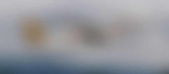 嬉しい高い搭乗率。