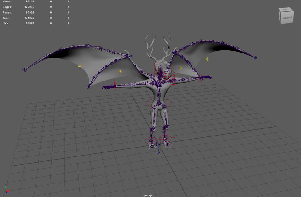 Character Rig