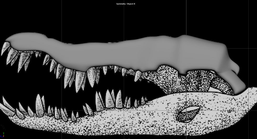 Making Of The Skull