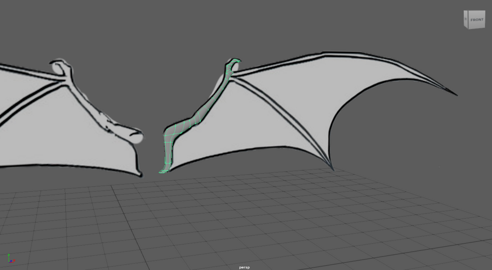Making Of The Wings