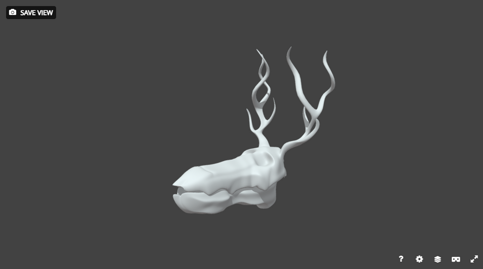 The Skull