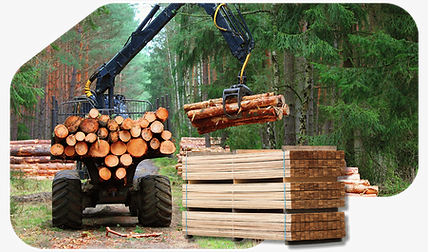Us Oke's Premium timber products supplier for construction industries in SA