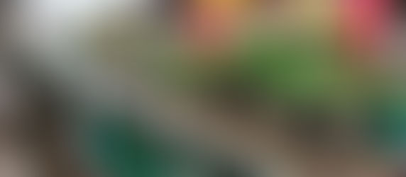 Sivasagar: Meeting That Genius And Some Tips For Your Sivasagar Trip