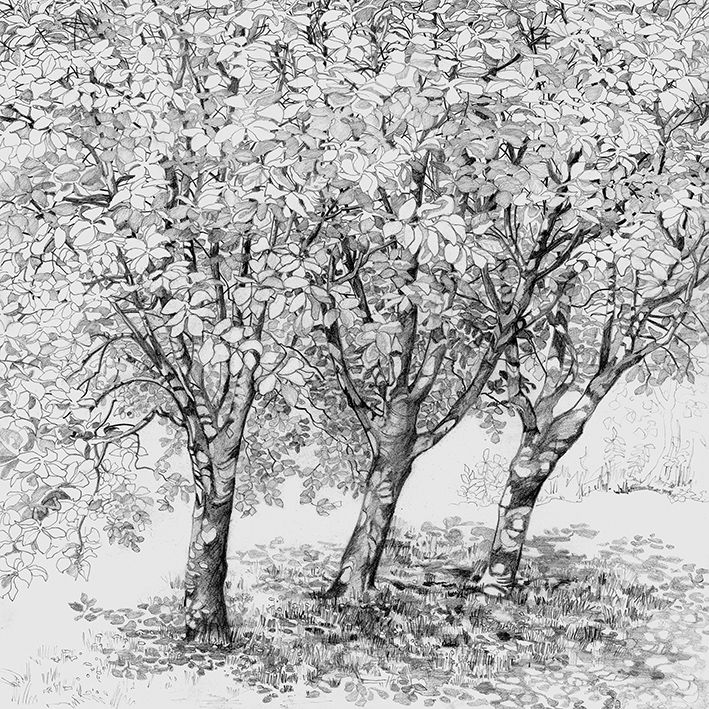 Three Trees