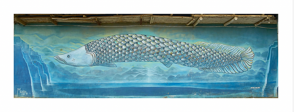 Fish - Print.png