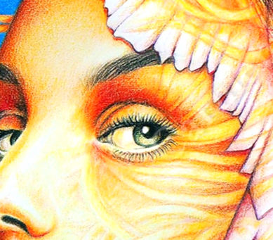 The Art of Seeing