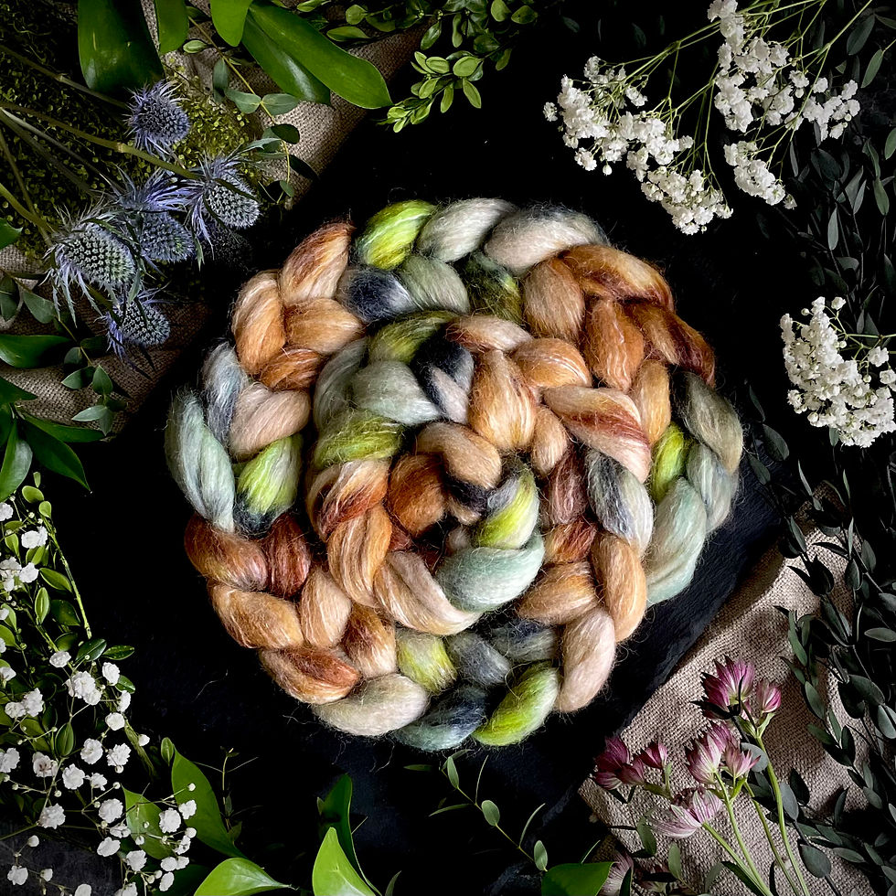 Thumbnail: BFL/ Rose/ Alpaca