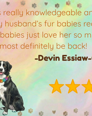 Review by Devin Essiaw-Quayson: 5-star rating for Jeannine.