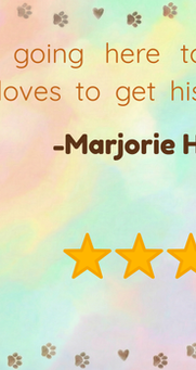 Marjorie Hampton’s 5-star review about dog Copper.
