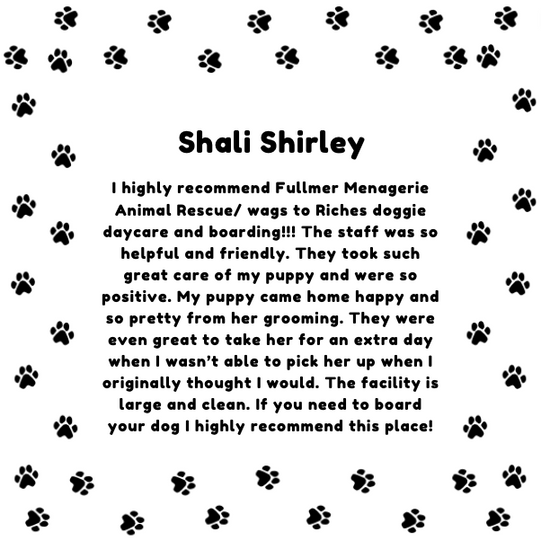 Fullmer Menagerie Animal Rescue Wags to Riches Doggie Daycare