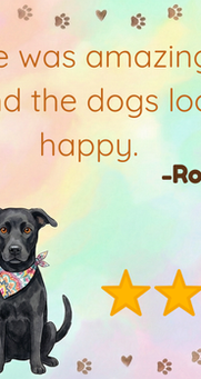 5-star review by Robert Muse praising dog care service.