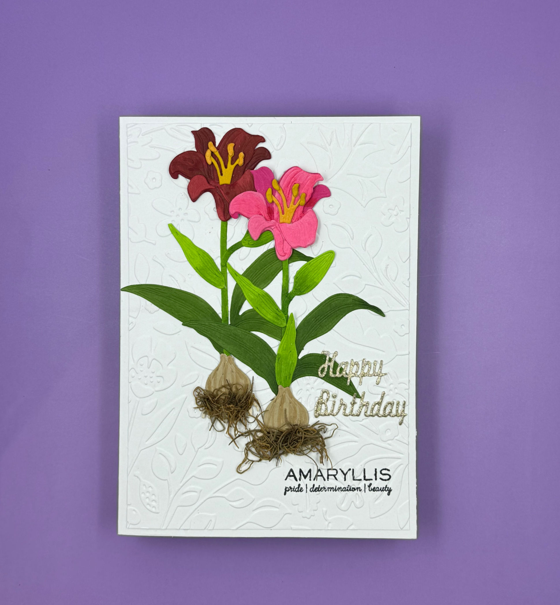 Pride, Determination, Beauty