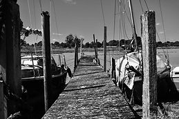 DSC_0829.jpg