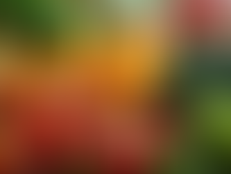 Trimester Wise: Foods and Drinks to Avoid During Pregnancy in the US