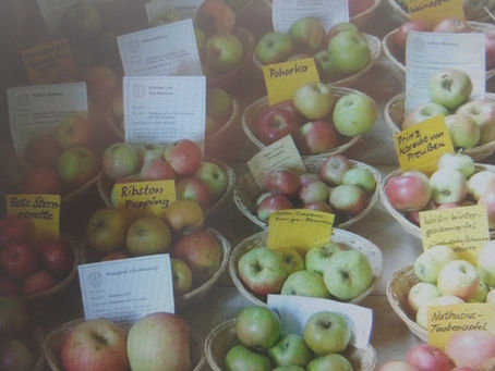 Apfelfest mit Regionalmarkt