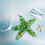 Thumbnail: Starfish on Rope - Fused Glass - Green Aqua Clear