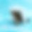 Thumbnail: Robin in Frame