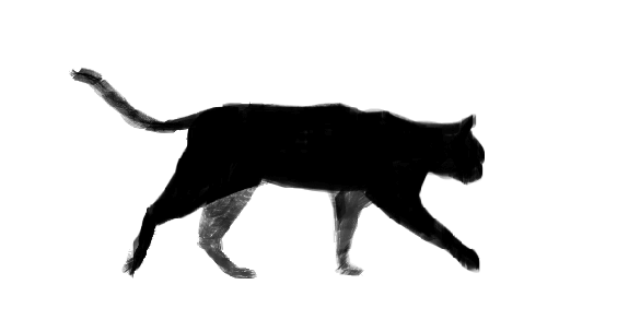 Rotocat.gif