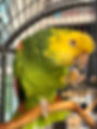 IMG_3036 (2).jpeg