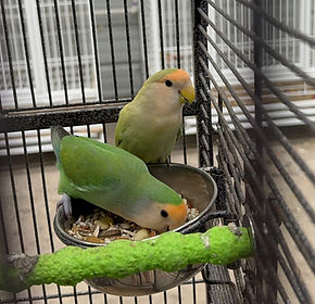 IMG_3569.jpeg
