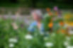 0E12B14E-60E6-46FC-BA76-AA4BC2053AA6_1_105_c.jpeg