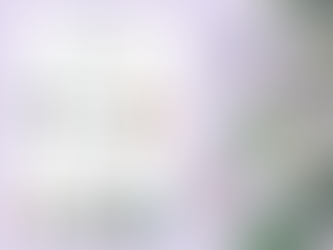 Be in the Mood: Why your brand needs a Mood Board?