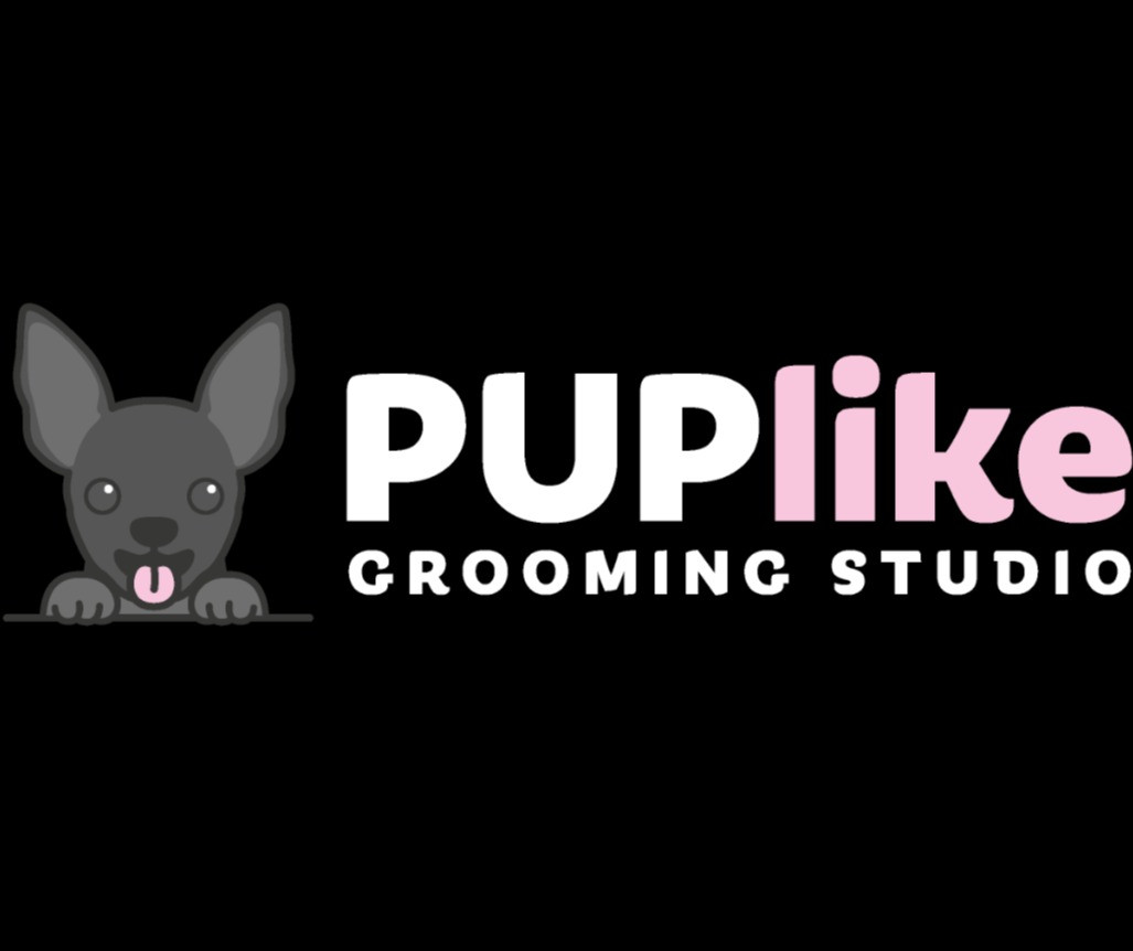 PUPlike grooming studio HiStandard dog grooming Brooklyn, New York