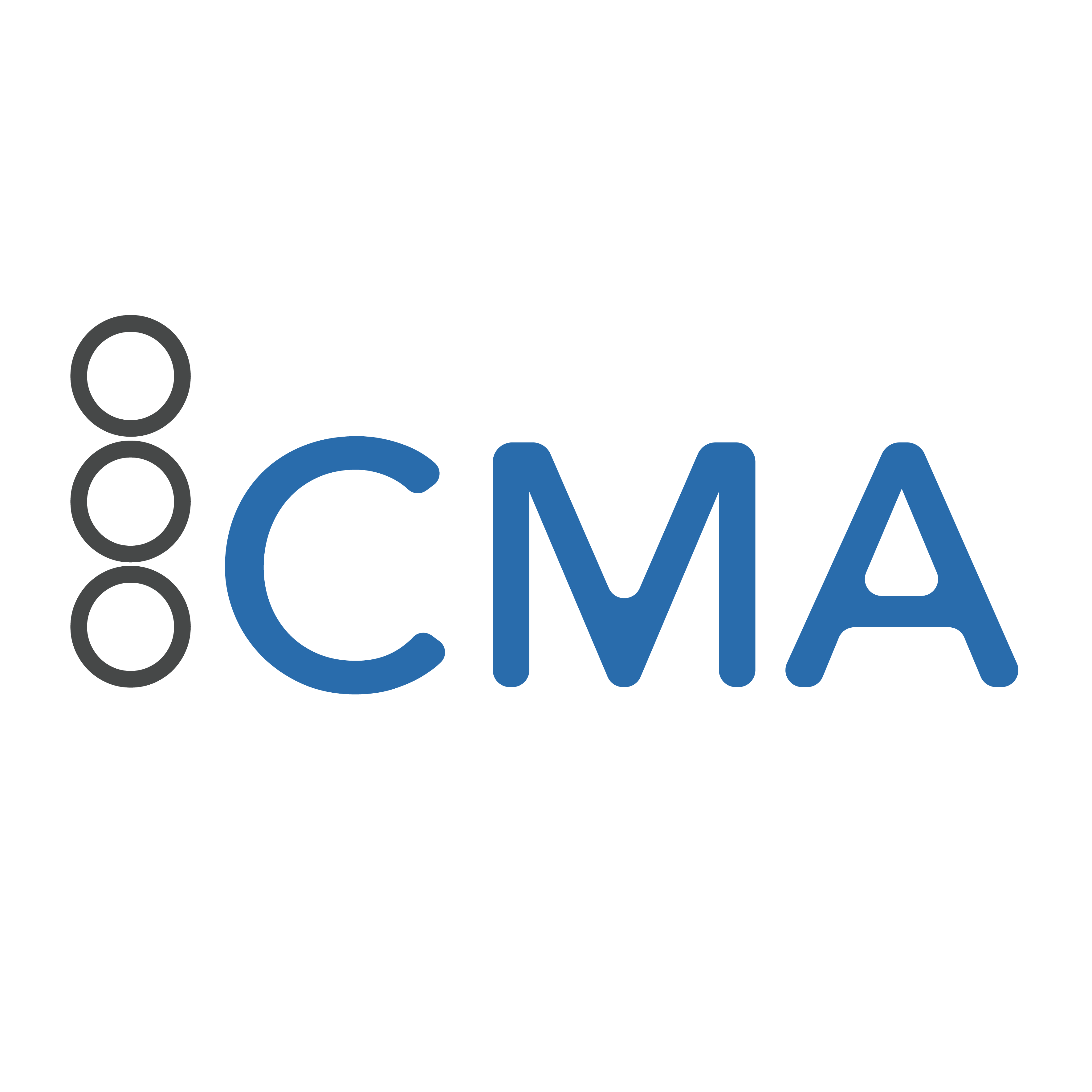 Cyber Maturity Assessment.png