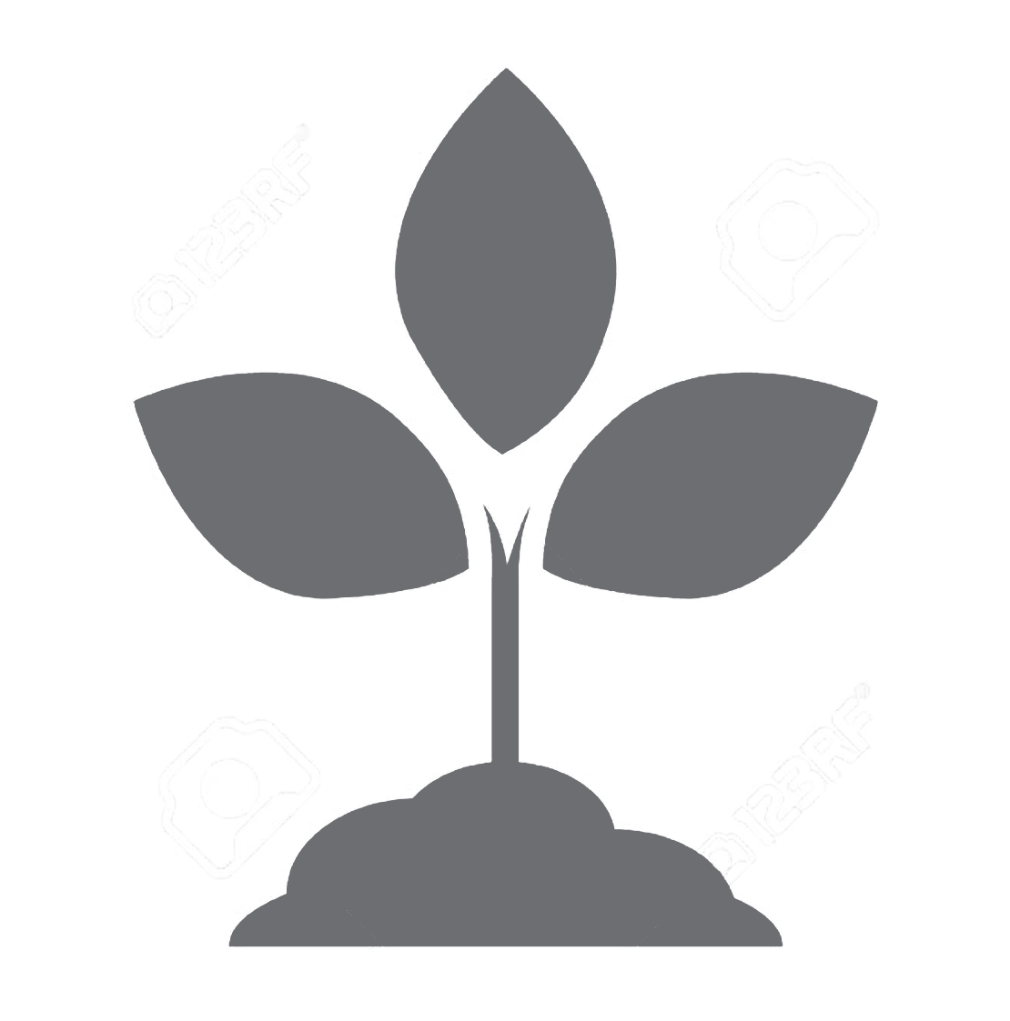 Grow your business