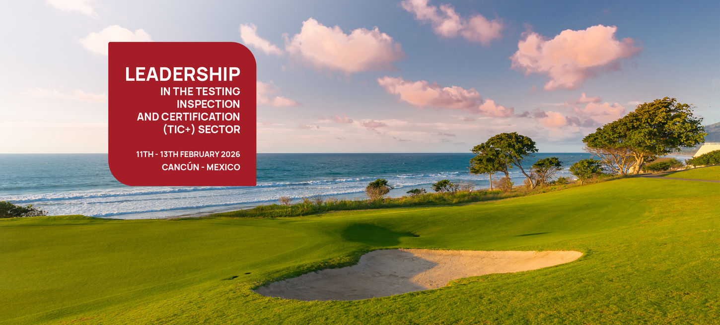 Leadership in the TIC+ Sector