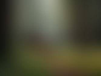 Top Emotional Healing Wellness Retreats in California