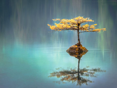 The 30-Minute Energetic Reset: Clear the Heaviness, Return to Yourself