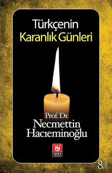 turkcenin karanlik gunleri.jpg
