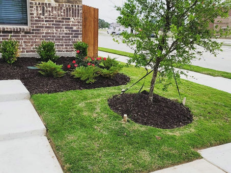 Local lawn Services