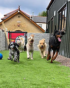 Daycare for Leaflet.jpg